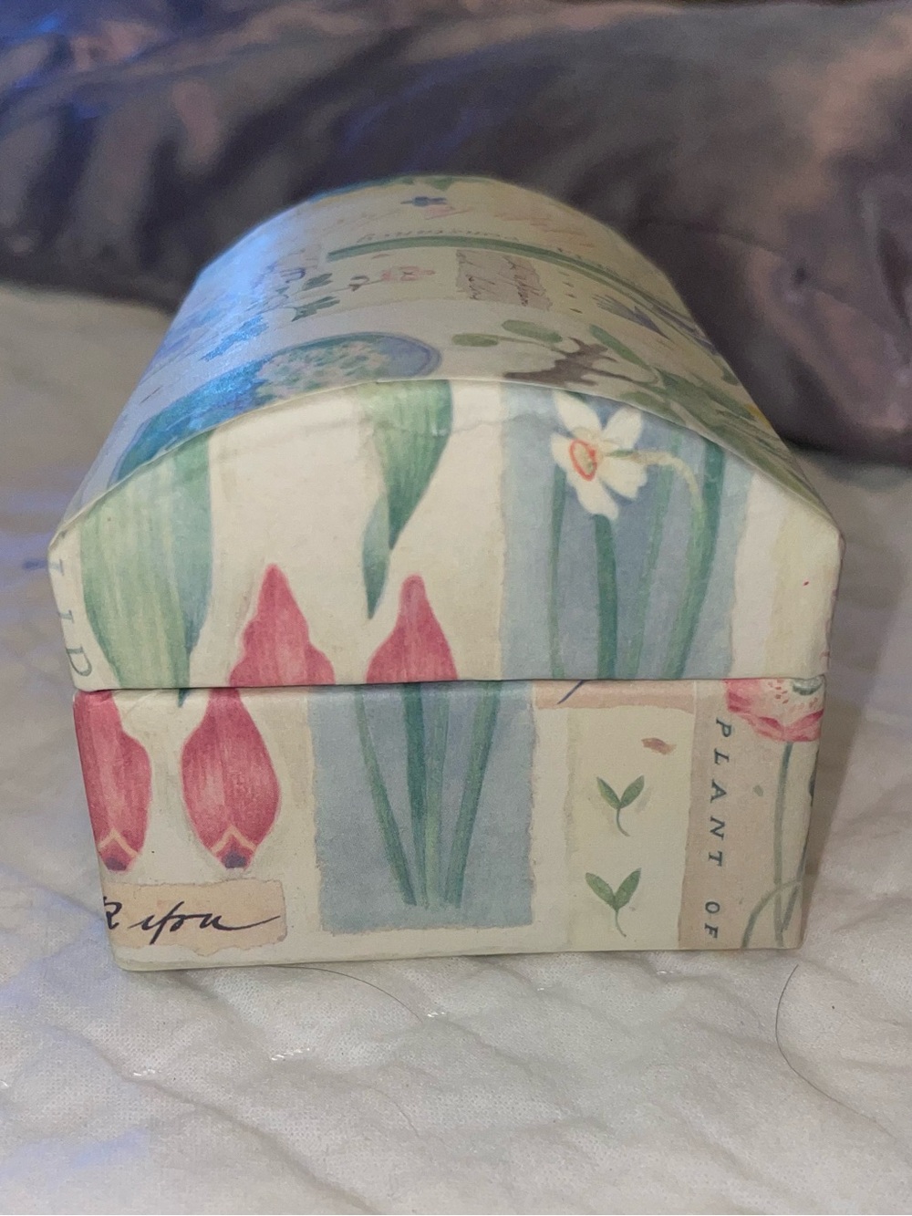 Vintage small Dome Botanical keepsakes box. 1970’s in pristine condition. - Picture 12 of 15